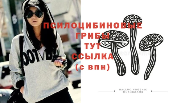 скорость Зеленодольск