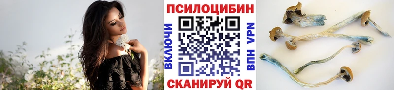 Псилоцибиновые грибы мухоморы  Купить где  Межгорье 