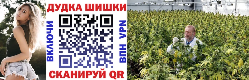 Каннабис семена  Купить закладки  Межгорье 